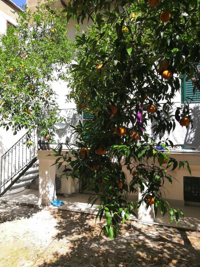 Garden House: Apartments And Rooms For Holidays パレルモ エクステリア 写真